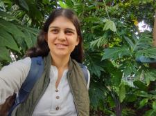 Tutor Experienced Tutor Specializing in Mathematics