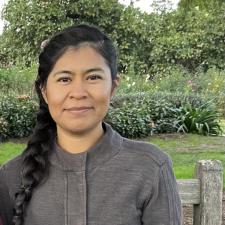 Nancy P. Los Angeles, CA, available for online & in-person tutoring