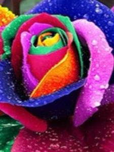 Md Johirul I.'s Photo