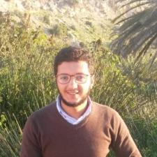 Mostafa B. - Experienced and qualified Arabic and French Tutor.