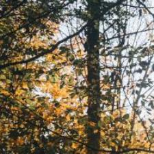 Nora E.'s Photo