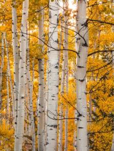 Jerry R.'s Photo