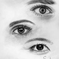 Sonserae L.'s Photo