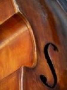 Stan A. - Conservatory-Level Violin Instruction at Affordable Rates