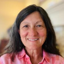 LouAnn M. Colorado Springs, CO, available for online & in-person tutoring