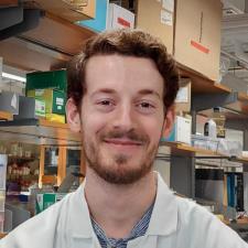 Tutor Harvard biology PhD with 3 years of college teaching experience