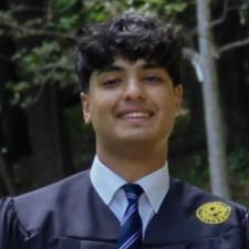 Vinay D.