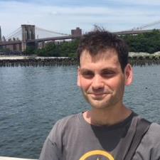 David M. - Licensed NYC Teacher Certified in TESOL, Experience in Japan