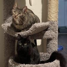 Zoe S.'s Photo