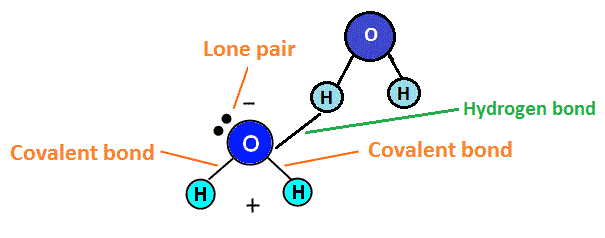 How do hydrogen bonds form?