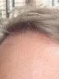 Tutor Basic and Business Portuguese