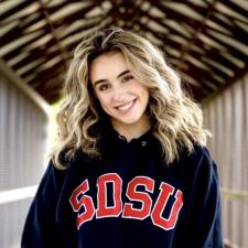 Tutor Essay Writing Tutor | Clear Structure, Strong Essays