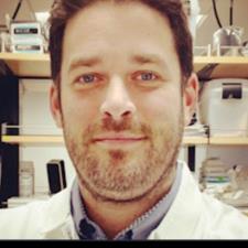 Michael T. Santa Monica, CA, available for online & in-person tutoring