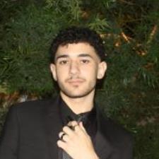 Tutor UCLA student specialized in essay writing and English tutoring.