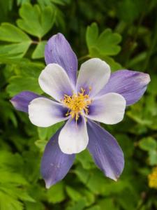 Jerry R.'s Photo