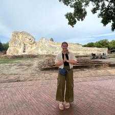 Tutor Experienced Teacher Specializing in United States History