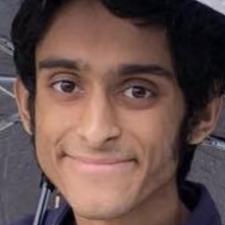 Syed H. Charlottesville, VA, available for online tutoring