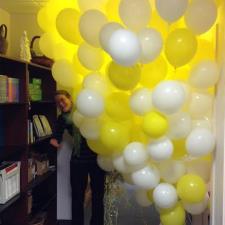 Sheila H.'s Photo