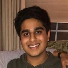 Parth P. - U of I Math Tutor