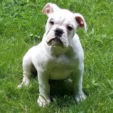 Roselinde O.'s Photo