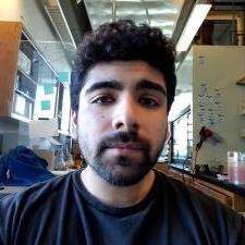 Tutor UCSD Grad for Math and Science Tutoring
